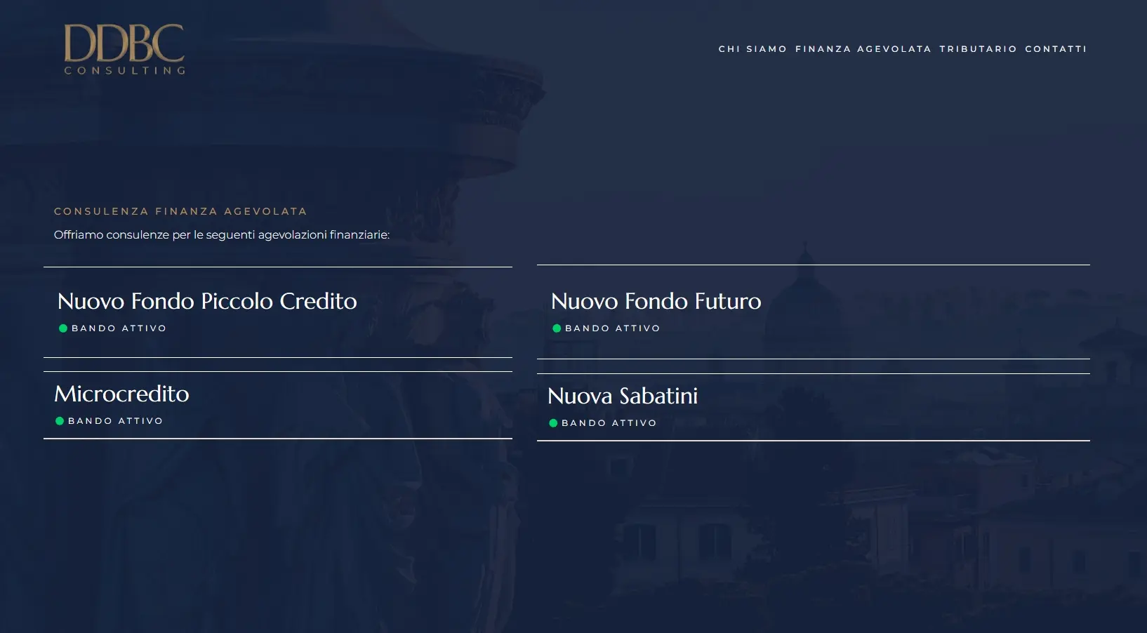 DDBConsulting sviluppo sito web professionale