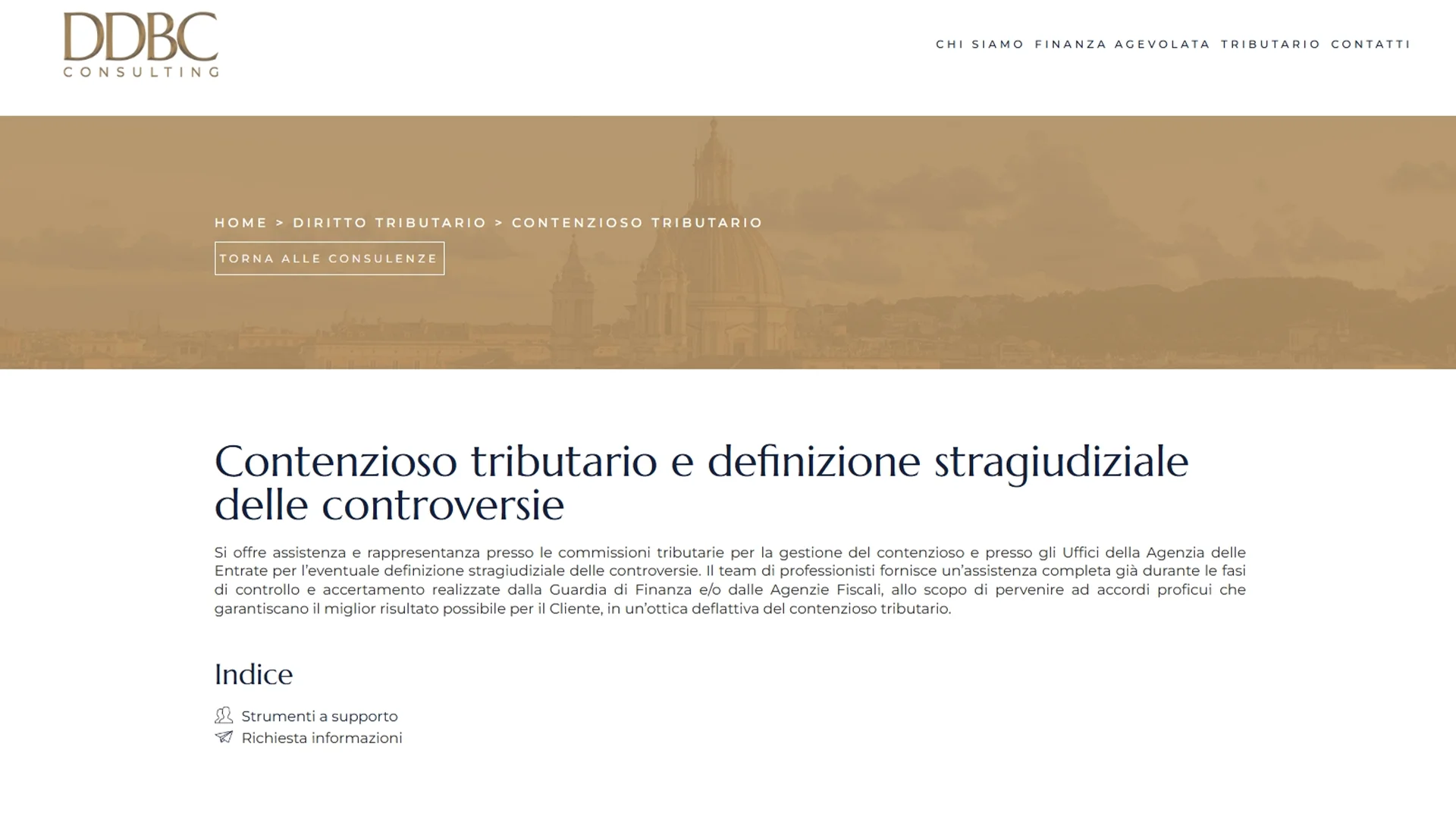 DDBConsulting sviluppo sito web professionale
