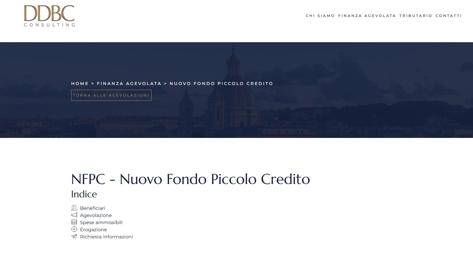 DDBConsulting sviluppo sito web professionale