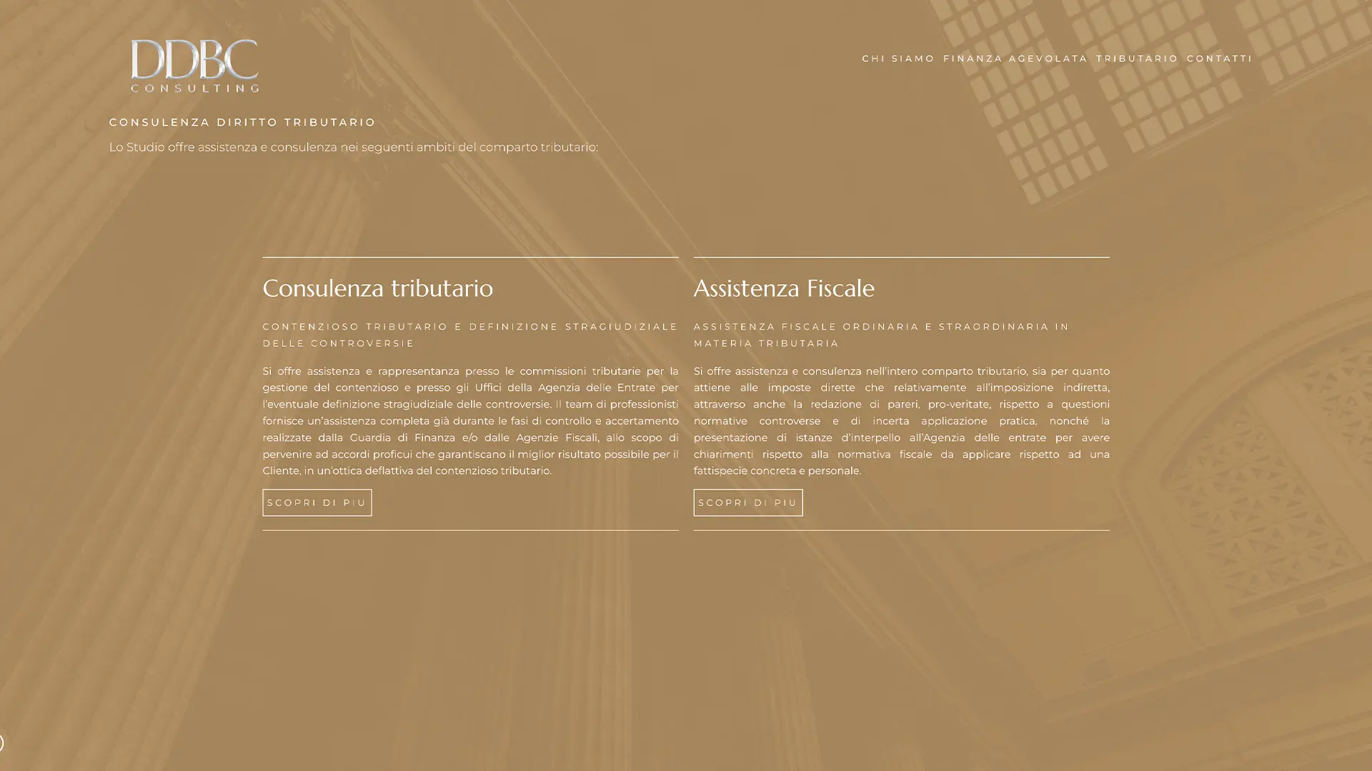 DDBConsulting sviluppo sito web professionale