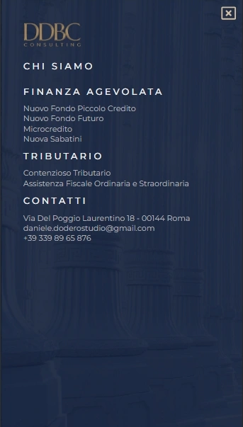 DDBConsulting sviluppo sito web professionale