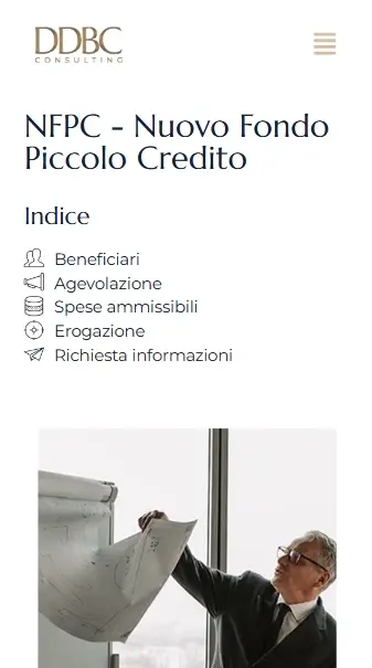 DDBConsulting sviluppo sito web professionale