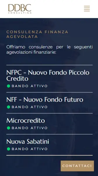 DDBConsulting sviluppo sito web professionale