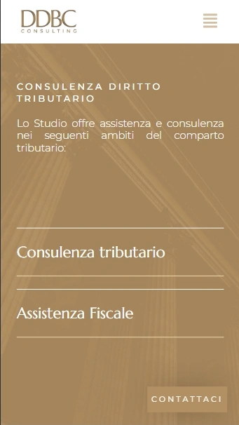 DDBConsulting sviluppo sito web professionale