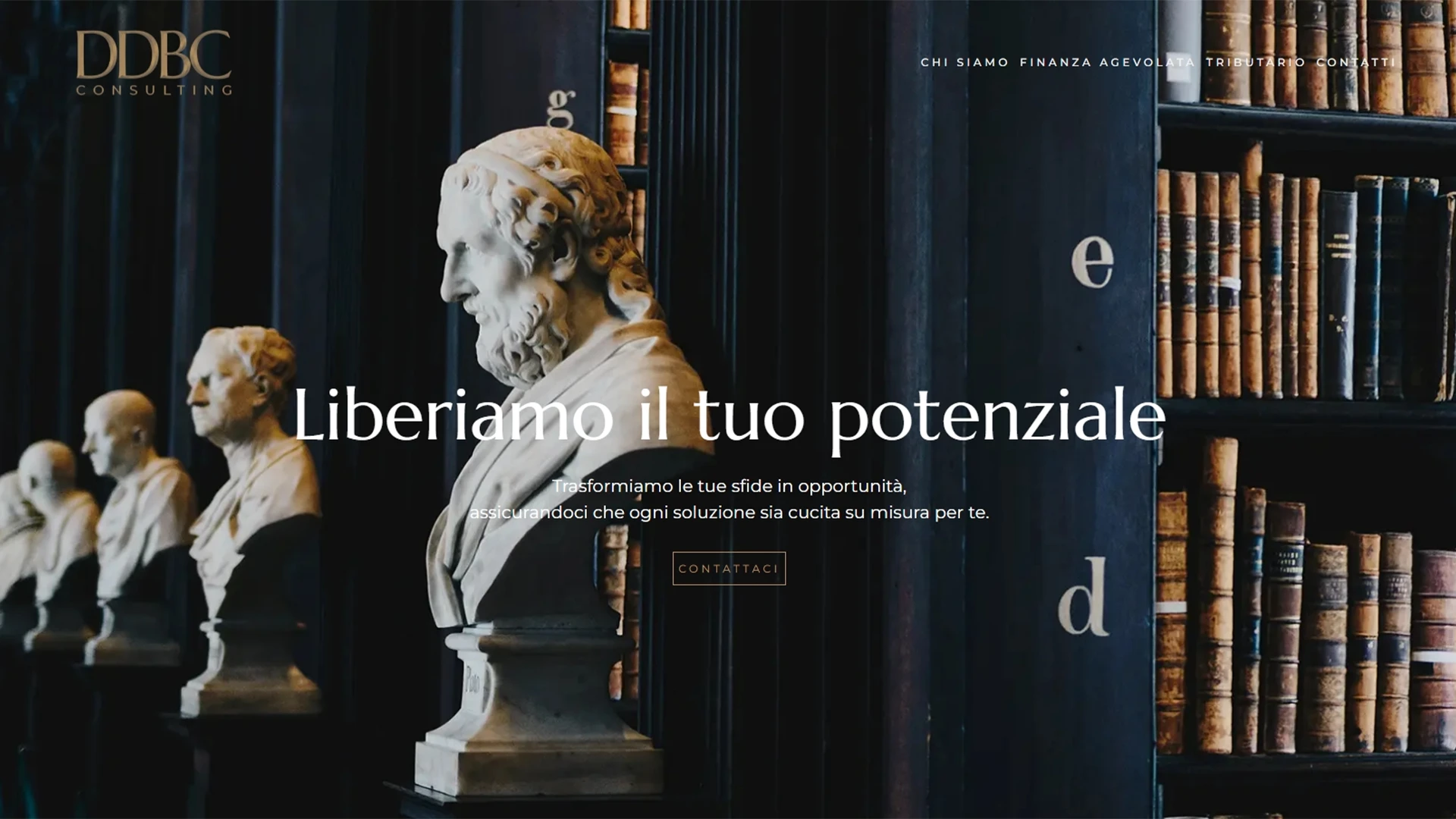 DDBConsulting sviluppo sito web professionale